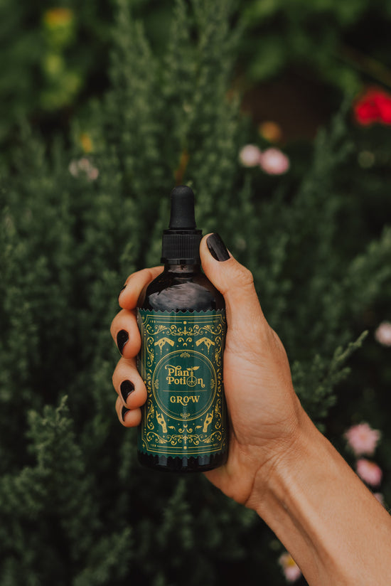 Plant Care Signature Kit