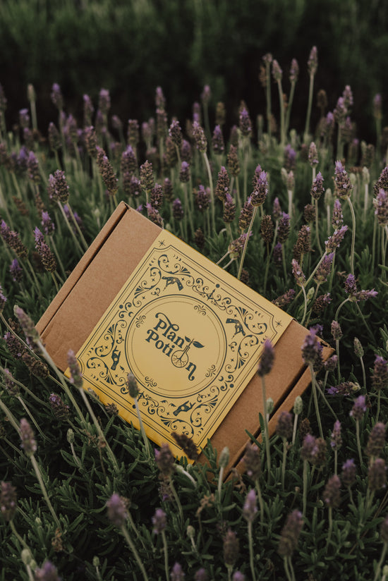 Plant Care Signature Kit