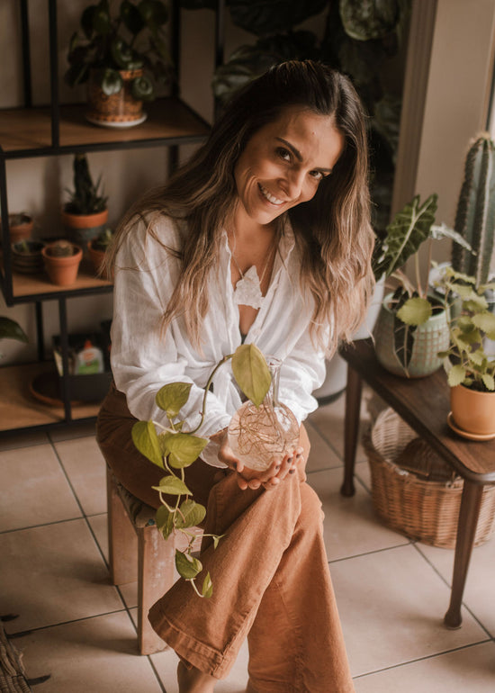 Indoor Plant Consultations