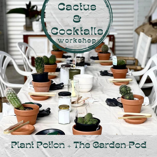 Cactus & Cocktails Workshop